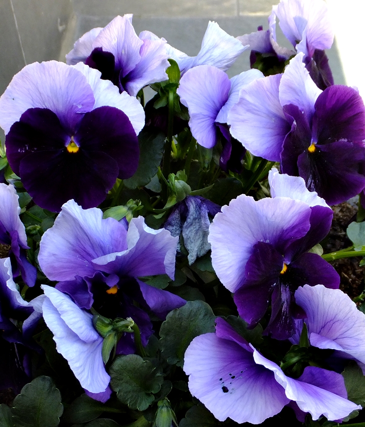 Esto de la escritura