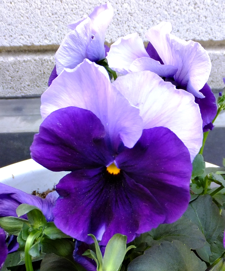 Esto de la escritura,&nbsp;verdad