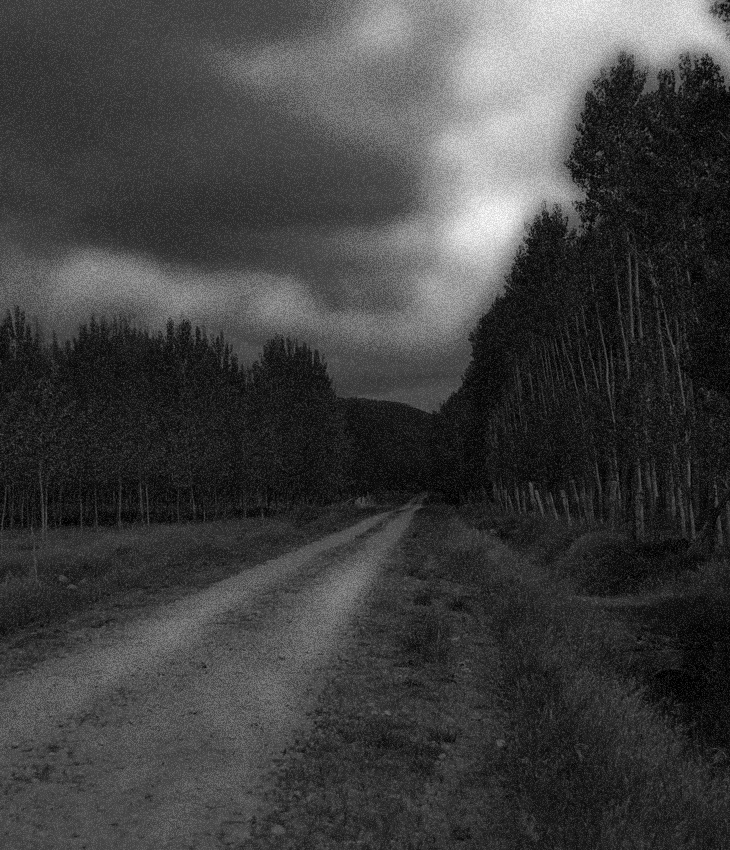 El mal camino&nbsp;(2015)