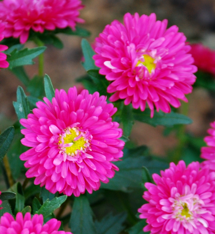 After 2: En mil pedazos&nbsp;(2014)