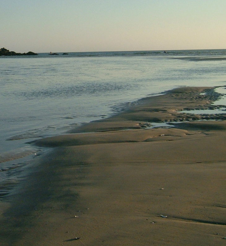 Los cuerpos extraños&nbsp;(2014)