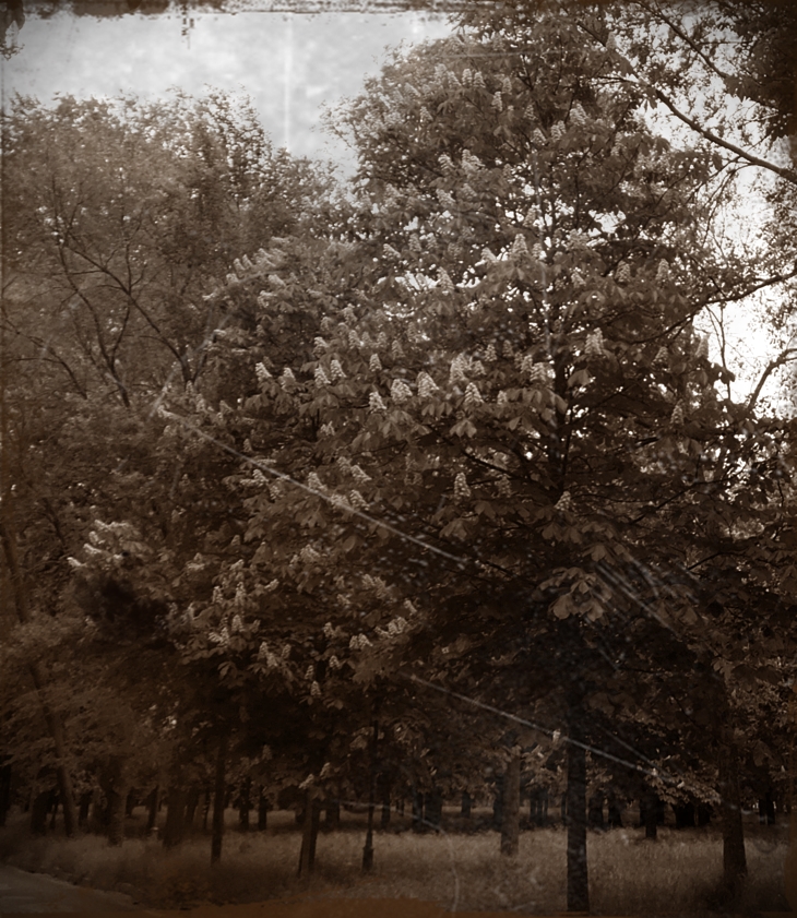 Conjura en Dorchester Terrace&nbsp;(2012)