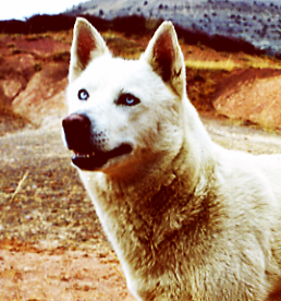 Hécuba (424 a.&nbsp;C.)