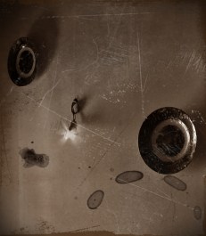 Misterio mosca dorada D