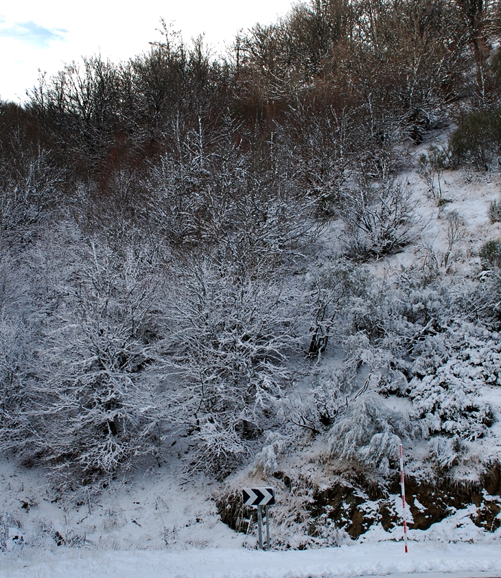 Ofrenda a la tormenta&nbsp;(2014)