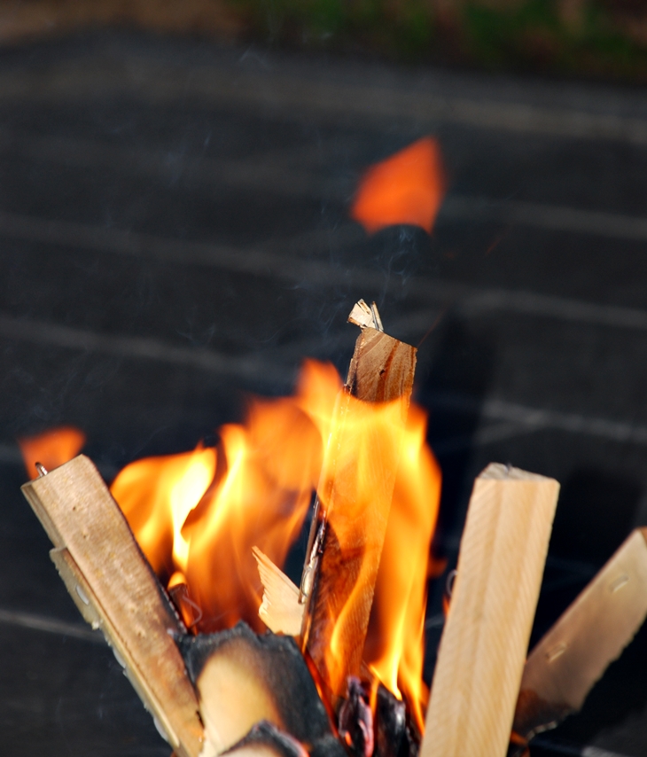 Temor a la verdad&nbsp;(2013)