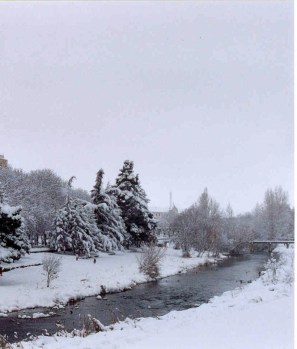 Todo-está-tranquilo-D