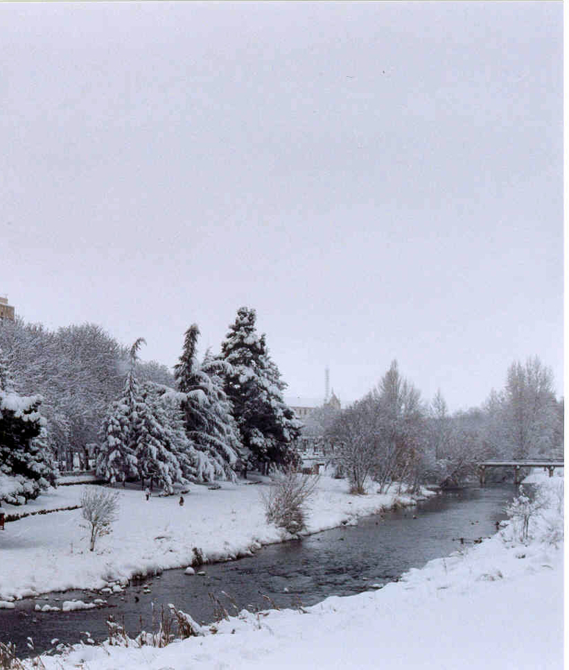 Todo está tranquilo&nbsp;(2008)