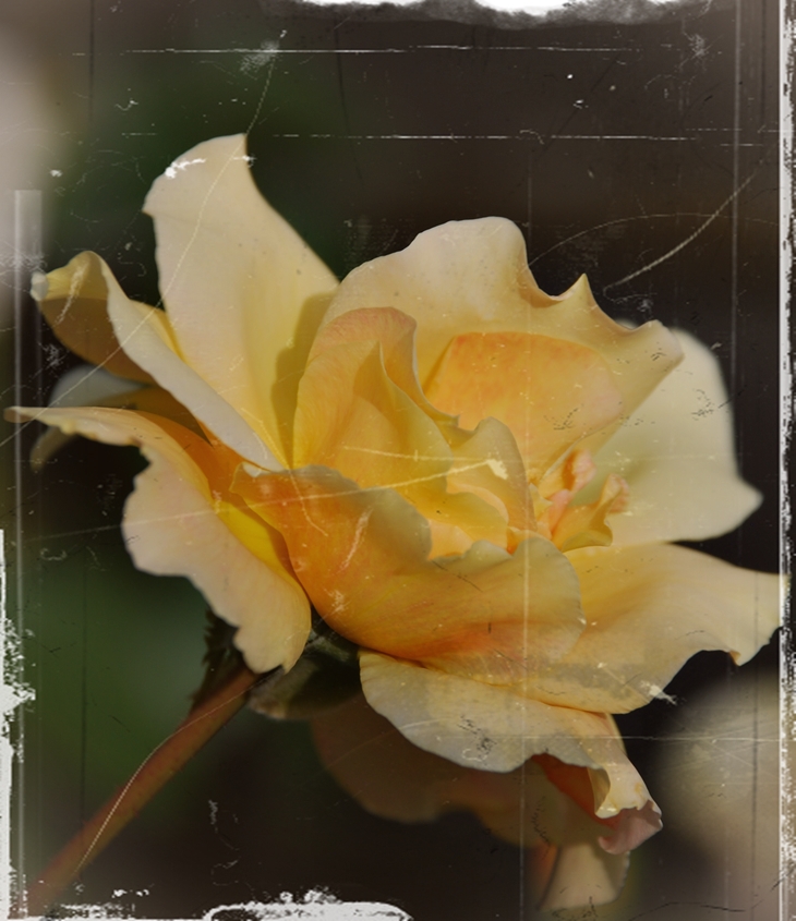 El cumpleaños secreto&nbsp;(2012)