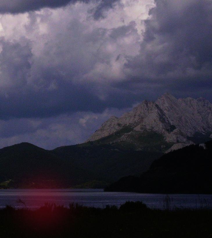 Una jaula de oro&nbsp;(2019)