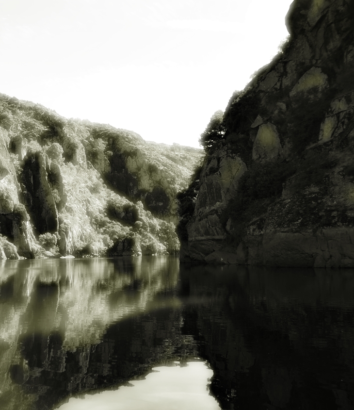 John Bellairs (1938-1991)