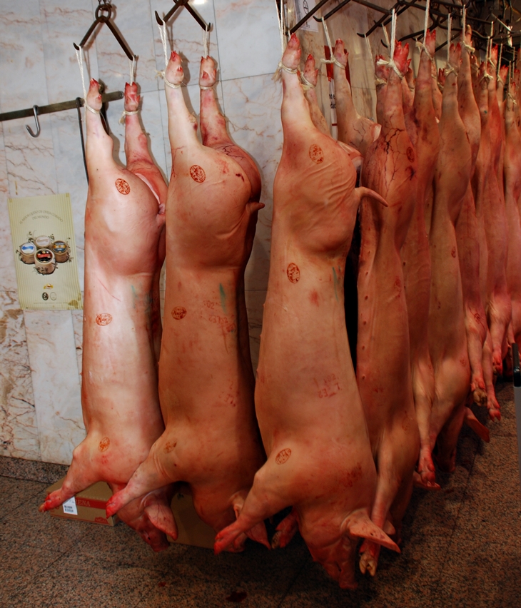 La palabra se hizo carne&nbsp;(2012)