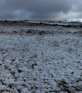 Arnaldur Indridason D