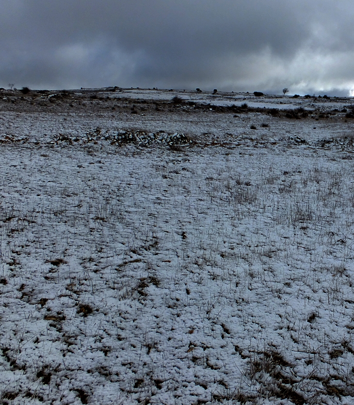 Arnaldur Indridason (1961)