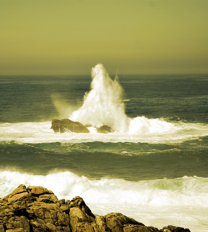 La falsa sonrisa&nbsp;(2008)