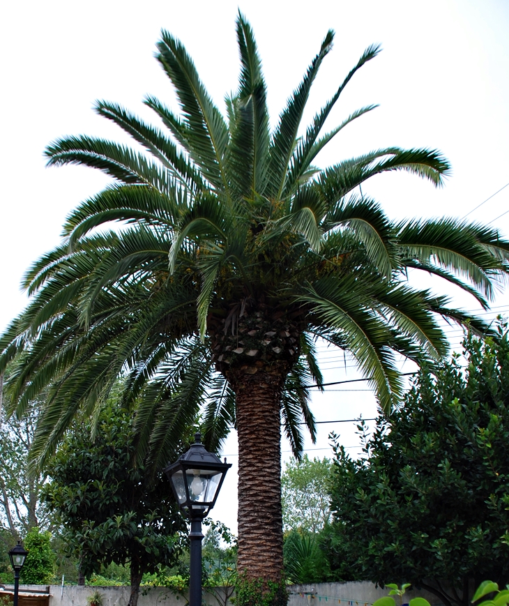 Fácil de matar&nbsp;(2011)