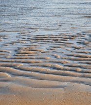 Inquietante amanecer D