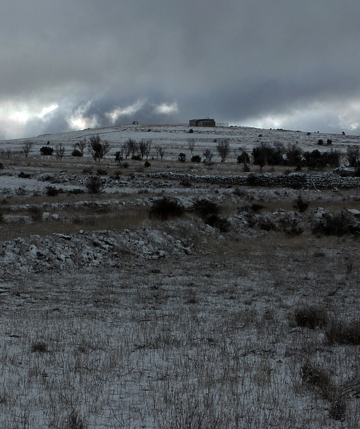 Invierno ártico (2005)