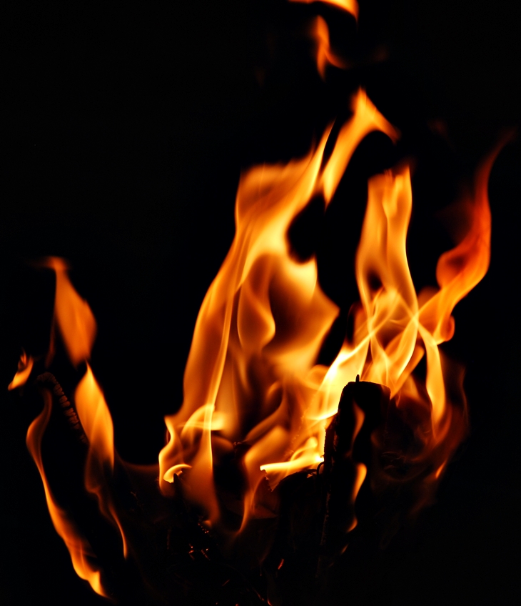 L. S. Hilton&nbsp;(1974)