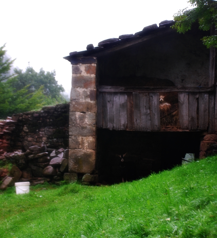 Los Siete Secretos sobre la pista&nbsp;(1952)