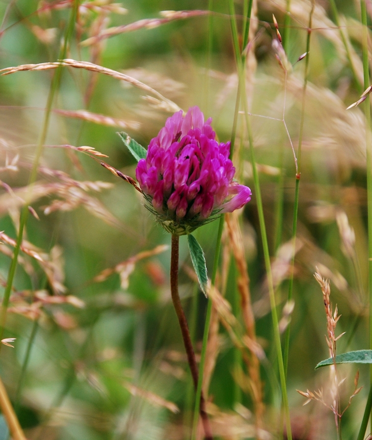 Un acto de maldad&nbsp;(2013)