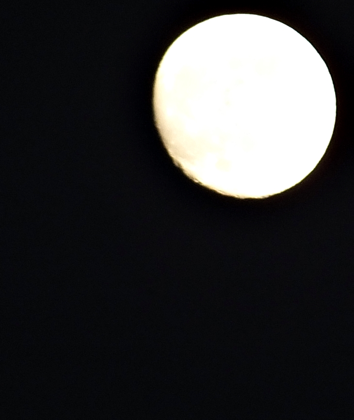 Las ardillas de Central Park están tristes los lunes&nbsp;(2010)