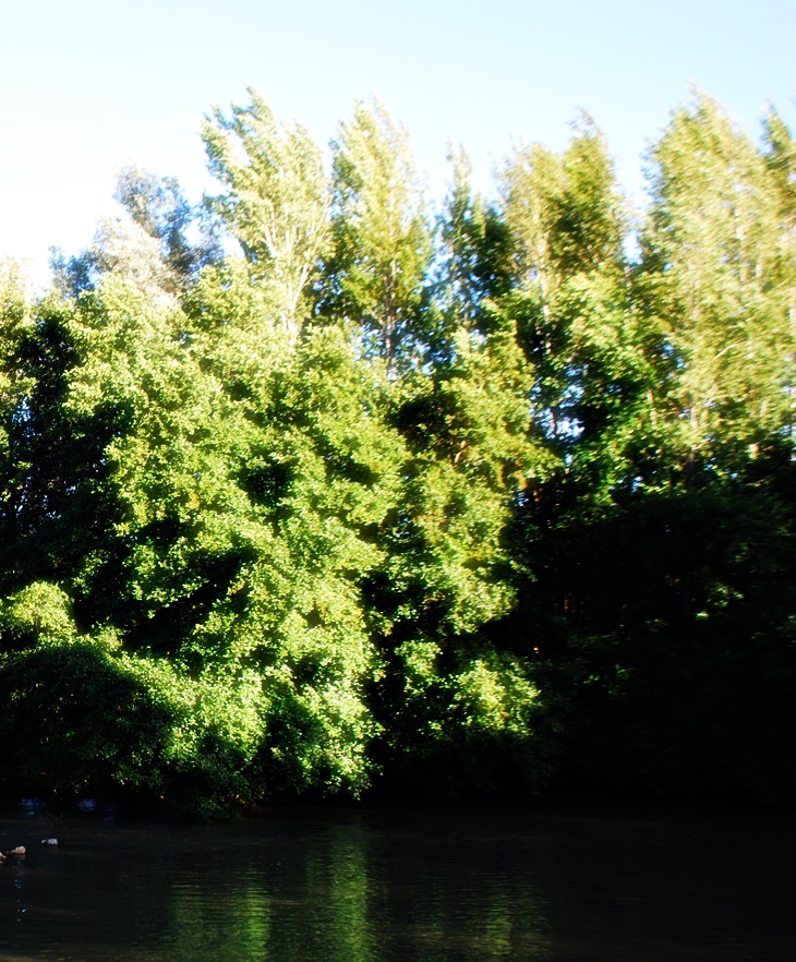 Ana, la de Álamos Ventosos&nbsp;(1916)