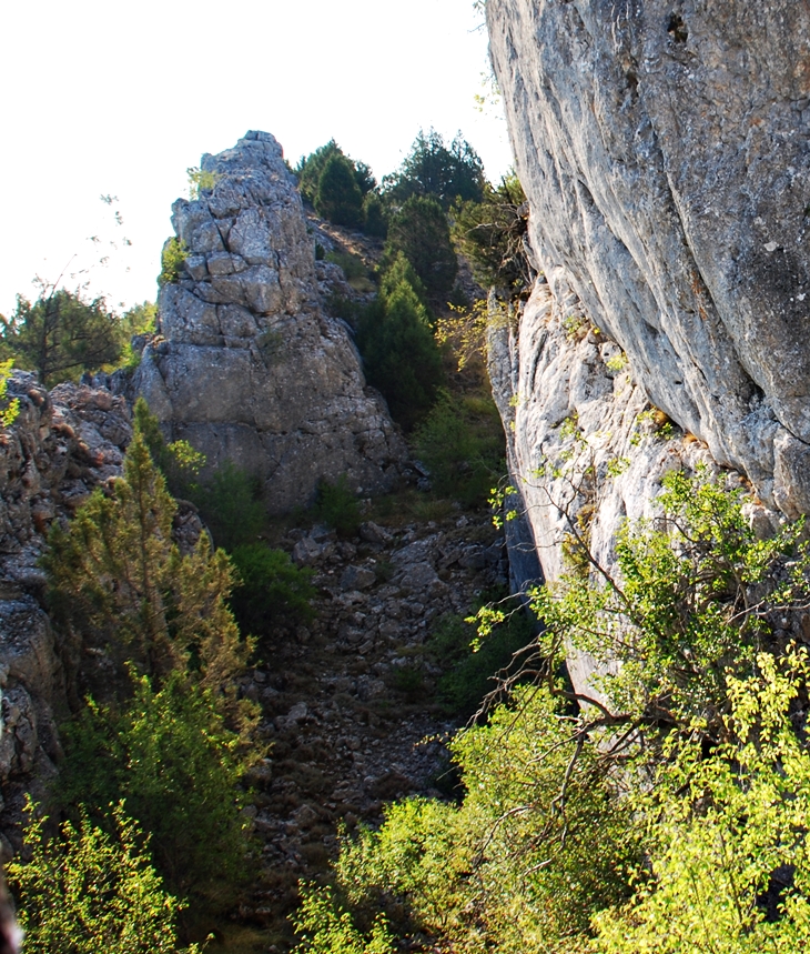 Nadie lo conoce&nbsp;(2005)