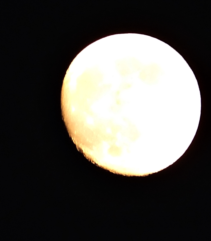 Los ojos amarillos de los cocodrilos&nbsp;(2006)