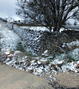 Otra aventura Cinco D