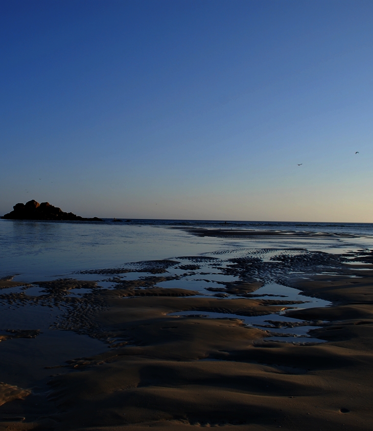 Patricia Cornwell (1956)