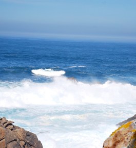 Refugio D