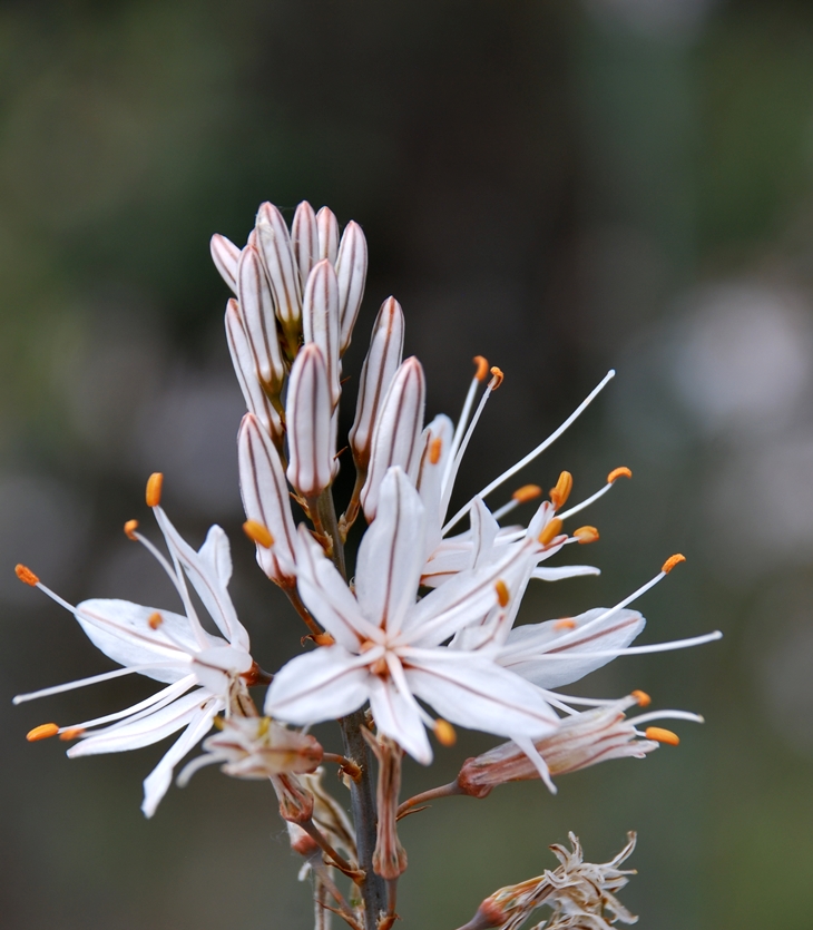 Si pensara en ti, te despreciaría&nbsp;(2015)