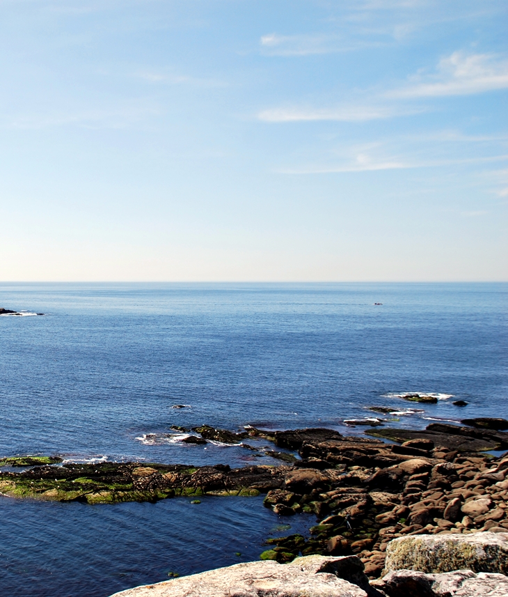 El suave susurro de los sueños&nbsp;(2015)