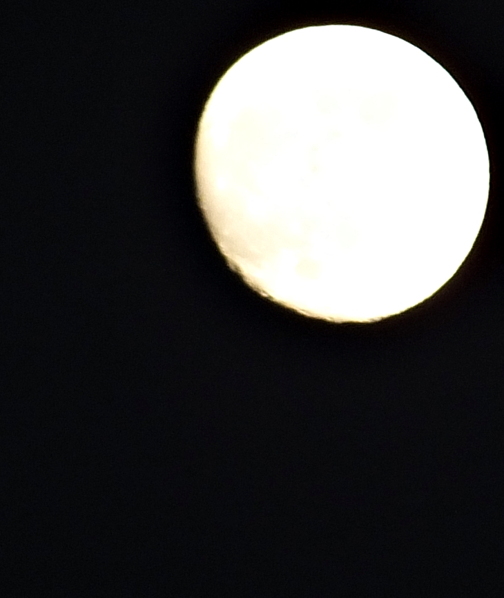 El vals lento de las tortugas&nbsp;(2008)