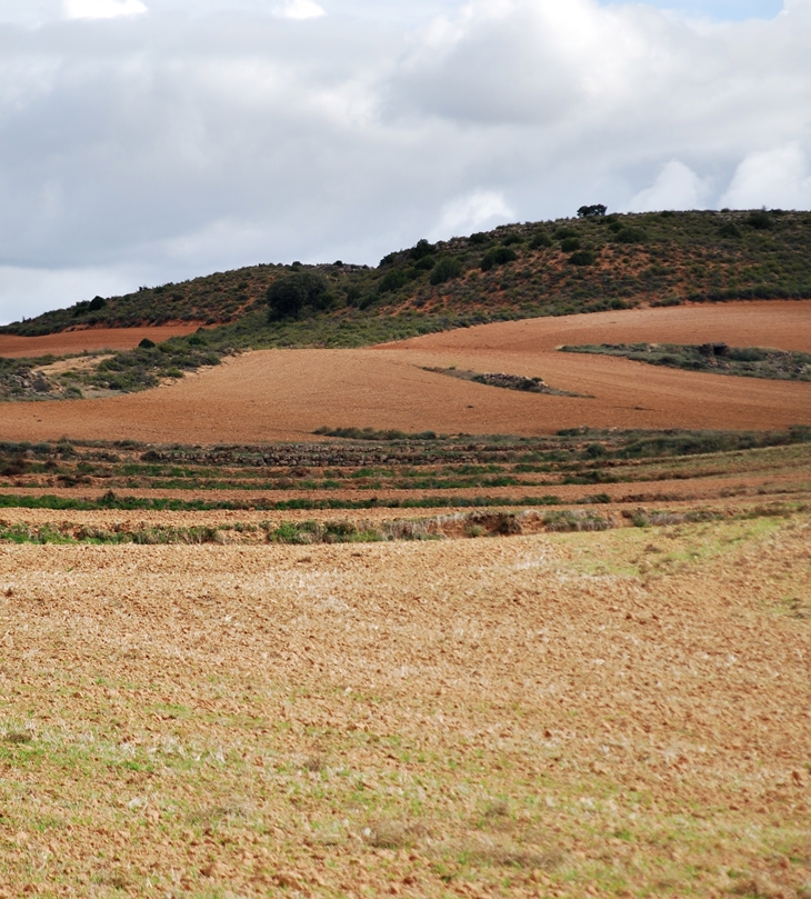 Viento del pueblo&nbsp;(1937)