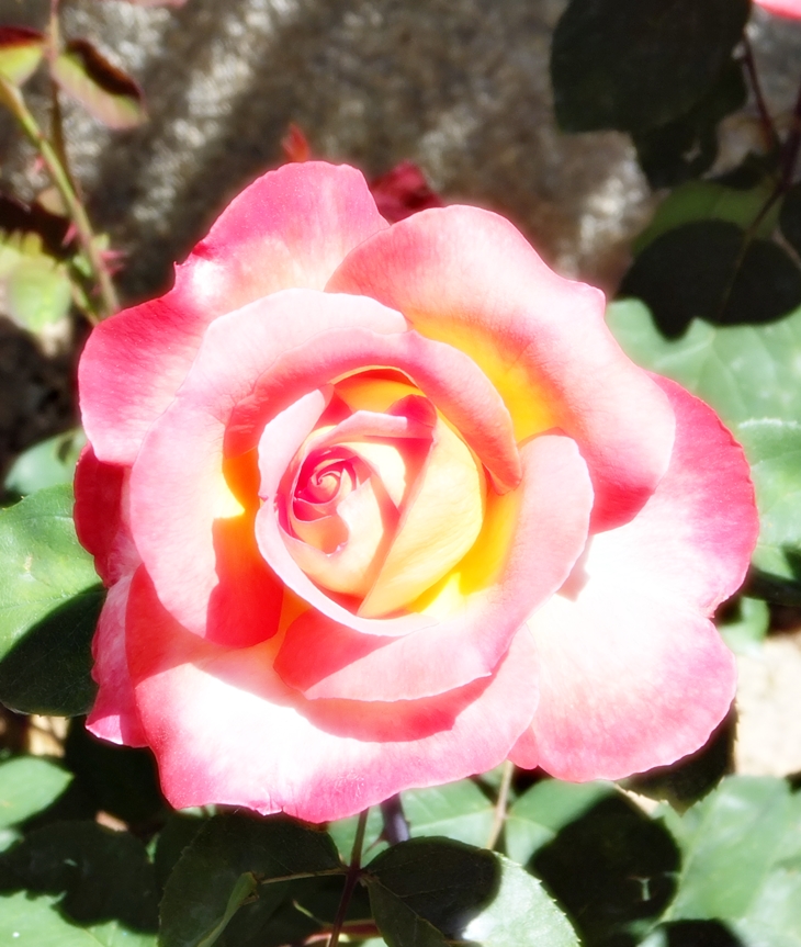 Claire se queda&nbsp;sola