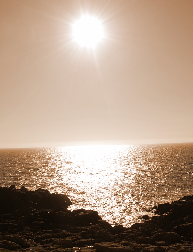 Deriva continental (2019)