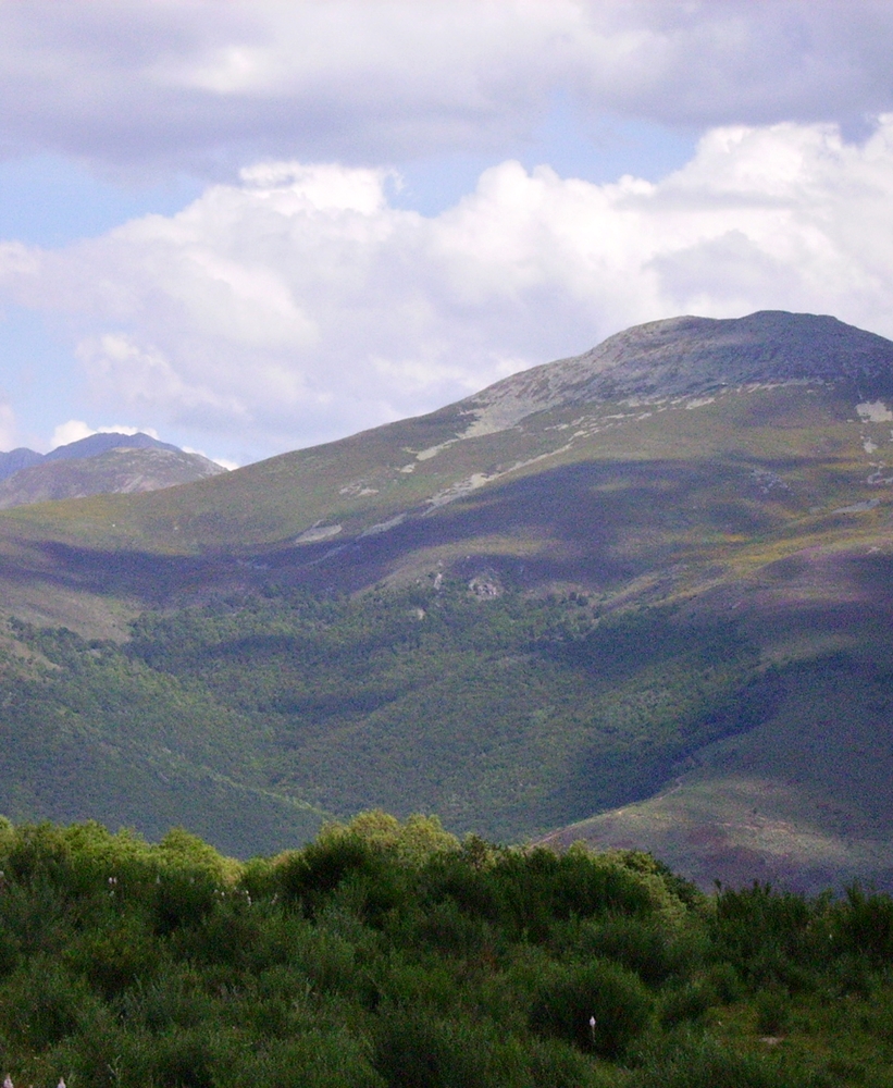 Marinero en tierra&nbsp;(1924)