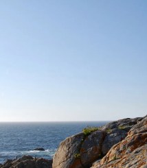 Miguel-Ángel-Martín-D