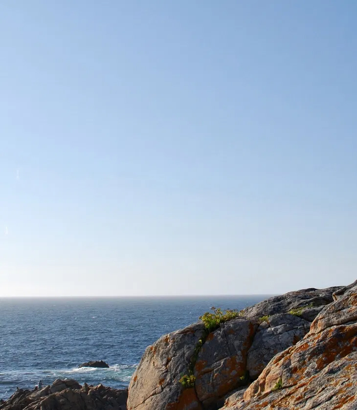 Miguel Ángel Martín Herránz&nbsp;(1956)