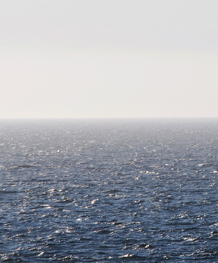 El rey recibe&nbsp;(2018)