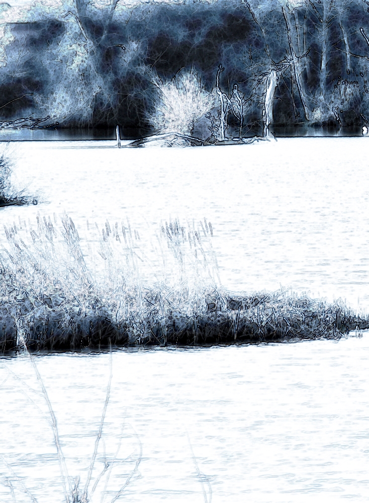 La senda oscura&nbsp;(2006)