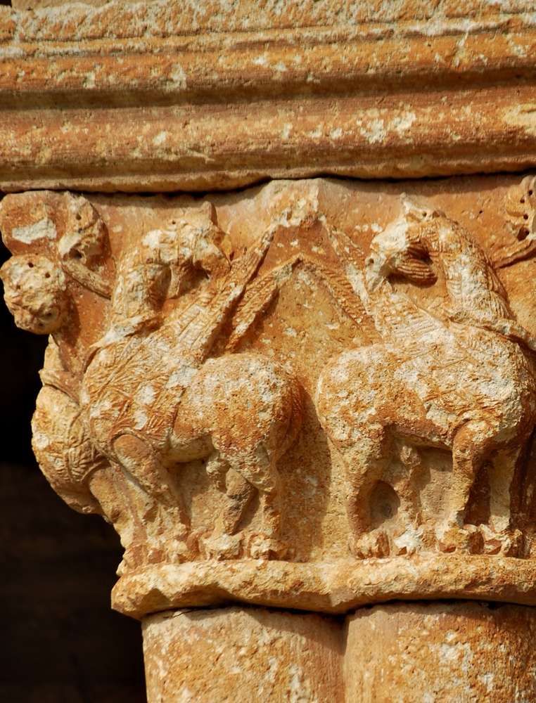 Carlos Ruiz Zafón D