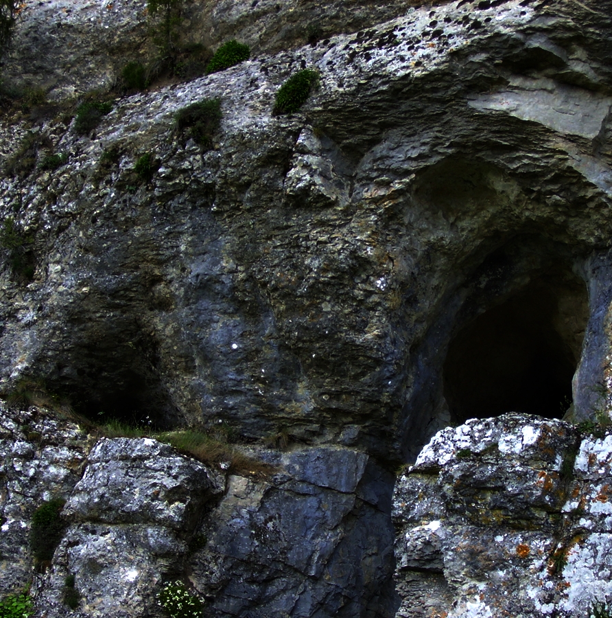 Los Cinco en la caravana&nbsp;(1946)