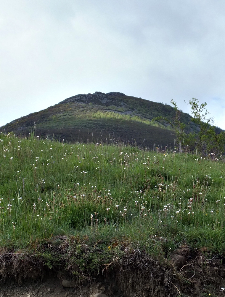Los Cinco en el Cerro del Contrabandista&nbsp;(1945)