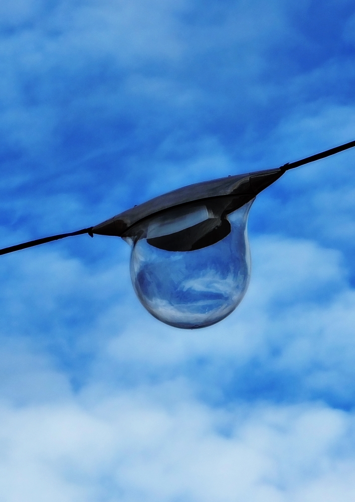 George Pelecanos (1957)