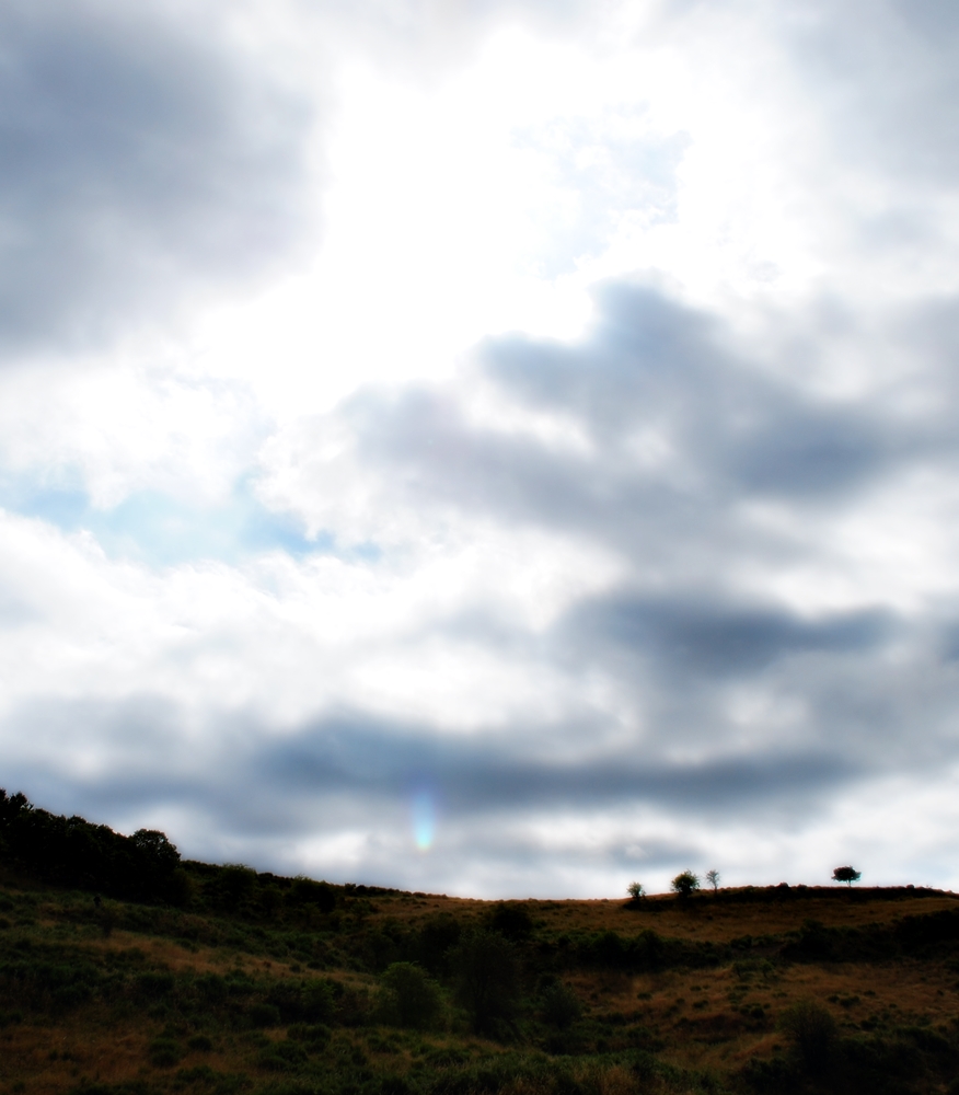 Herta Müller (1953)