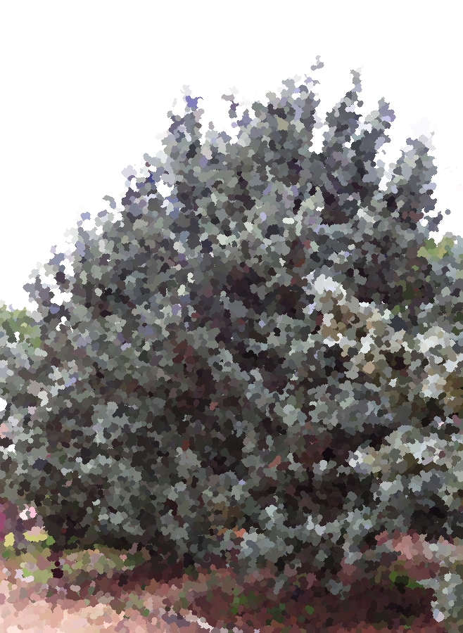 José Antonio Arcediano&nbsp;(1964)