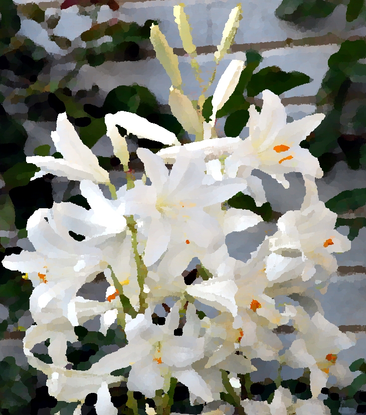 La bendición (1951)